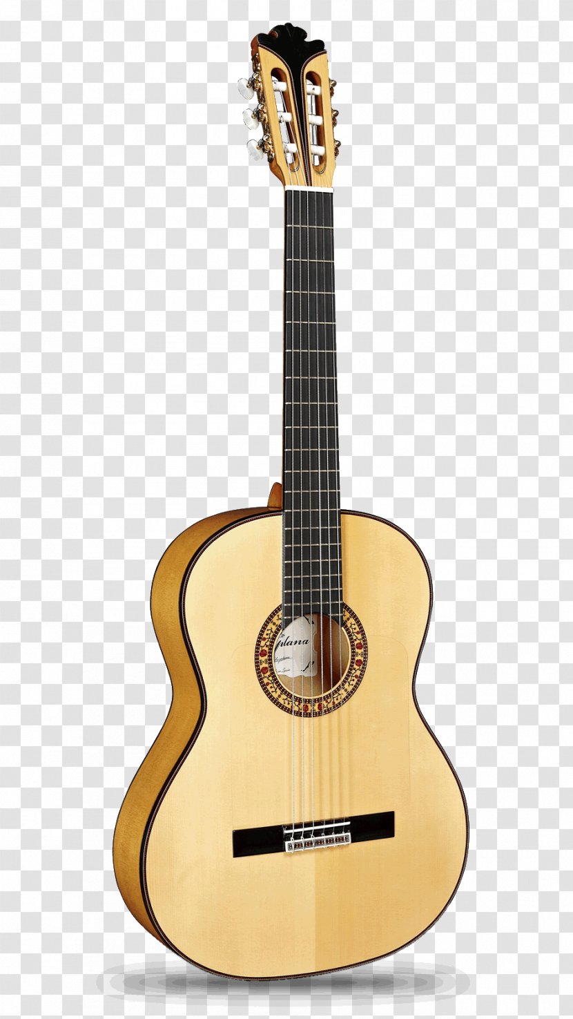 C. F. Martin & Company Acoustic Guitar Acoustic-electric Musical Instruments - Heart - Flamenco Transparent PNG