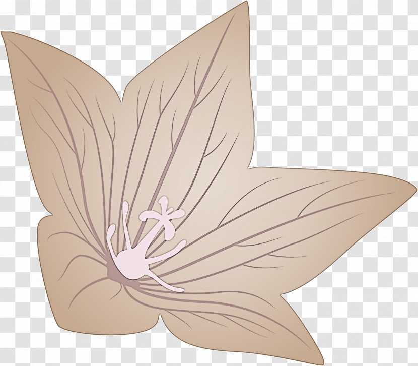 Balloon Flower Transparent PNG