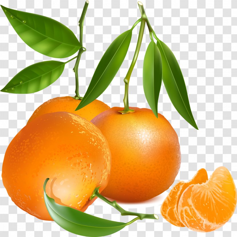 Tangerine Mandarin Orange - Citric Acid Transparent PNG