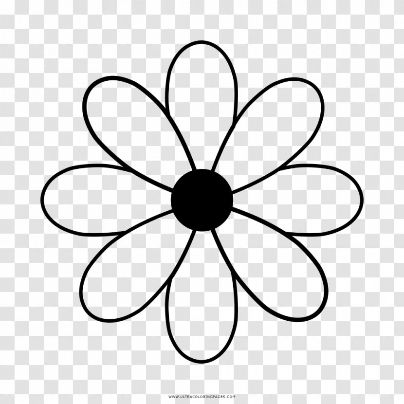 Drawing Flower - Stencil Transparent PNG