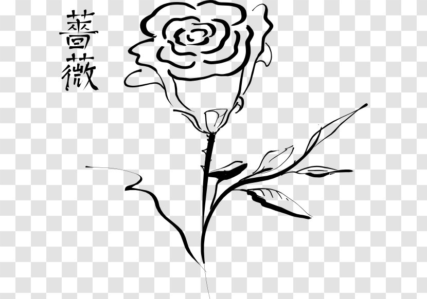 Black Rose Clip Art - Line - Tato Tribal Bunga Mawar Transparent PNG