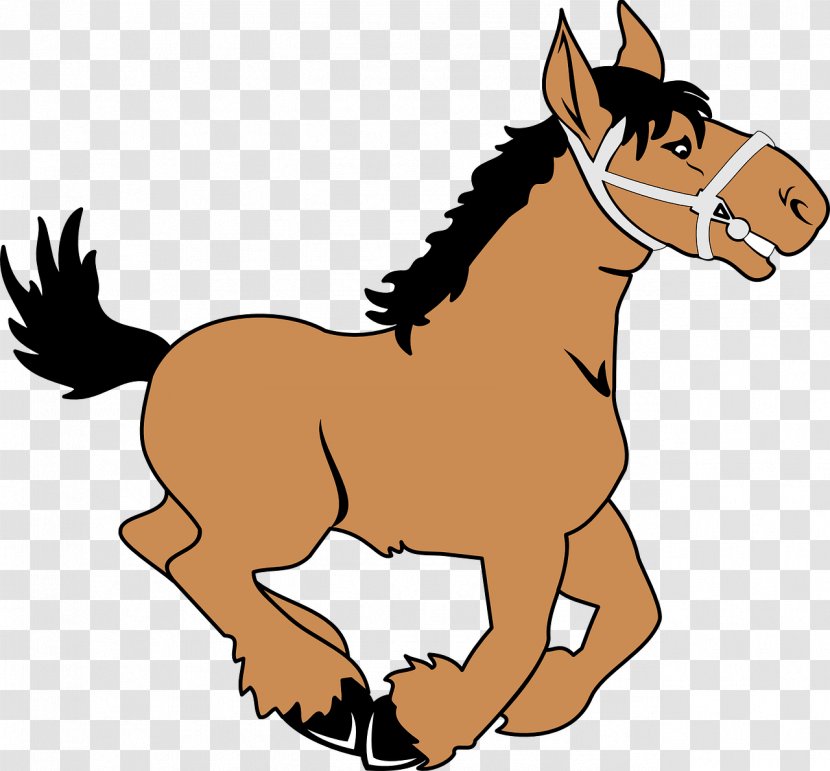 Mustang Pony Foal Stallion Mule - Snout - Dog Cartoon Transparent PNG