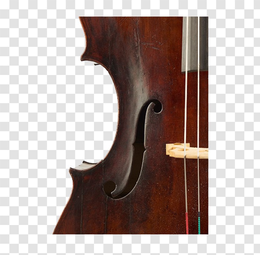 Bass Violin Violone Viola Double Octobass - Tololoche Transparent PNG