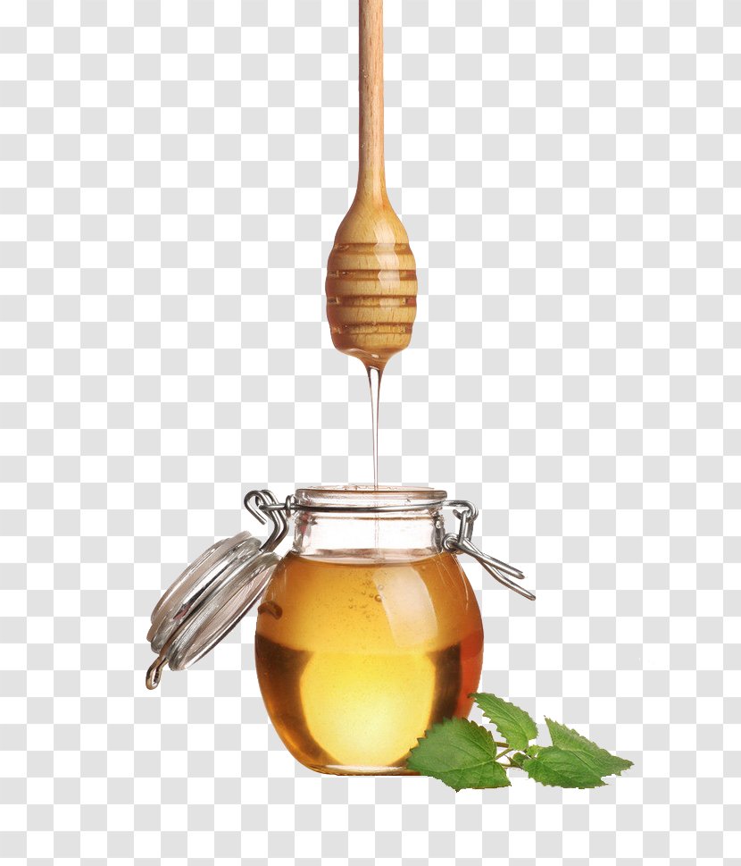 Bee Honey Avocado Skin Auglis - Food Transparent PNG