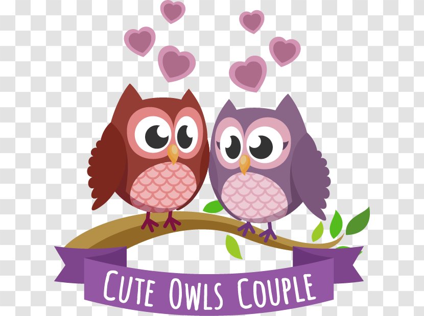 Barn Owl Little - Drawing - Vector Couple Transparent PNG