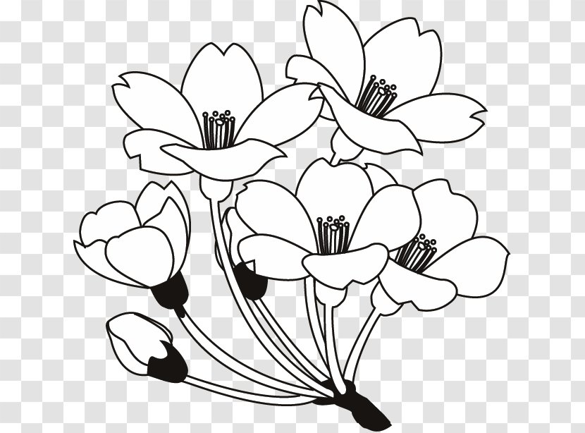 Floral Design Black And White Drawing Clip Art - Plant - Flower Transparent PNG