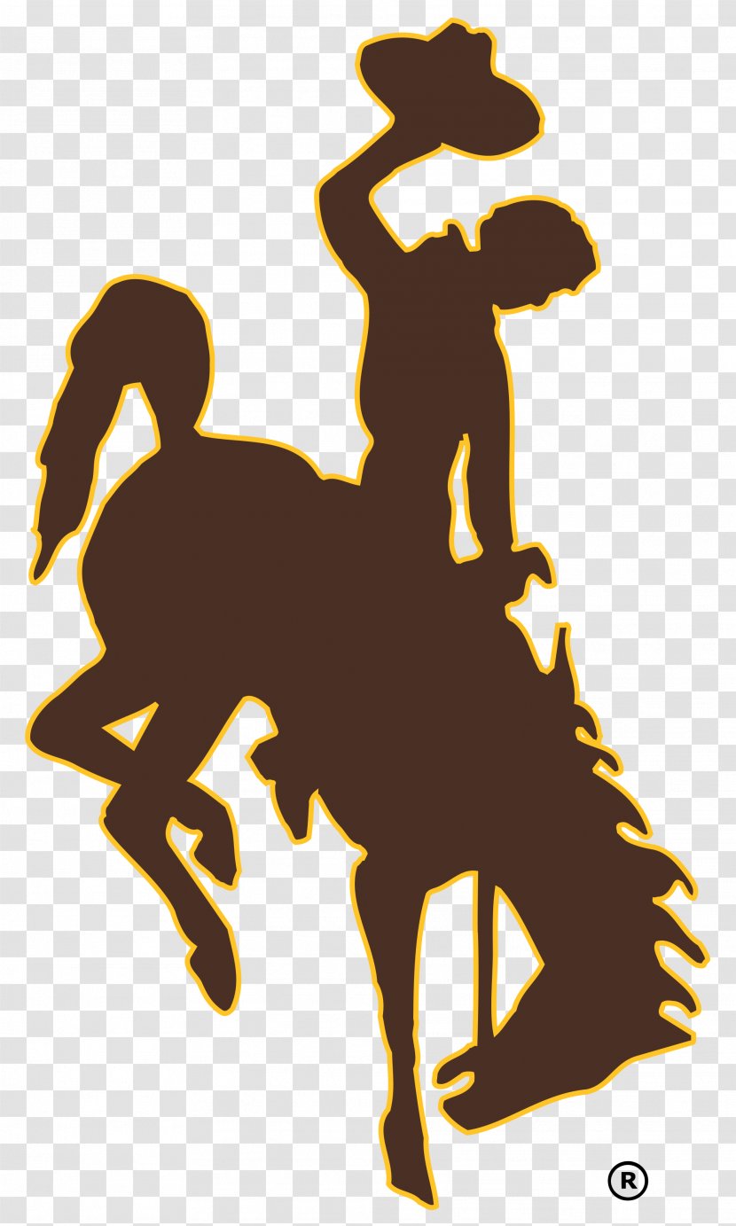 Wyoming Cowboys Football Cowgirls Women's Basketball Baseball University Of Northern Colorado - Cowboy Transparent PNG