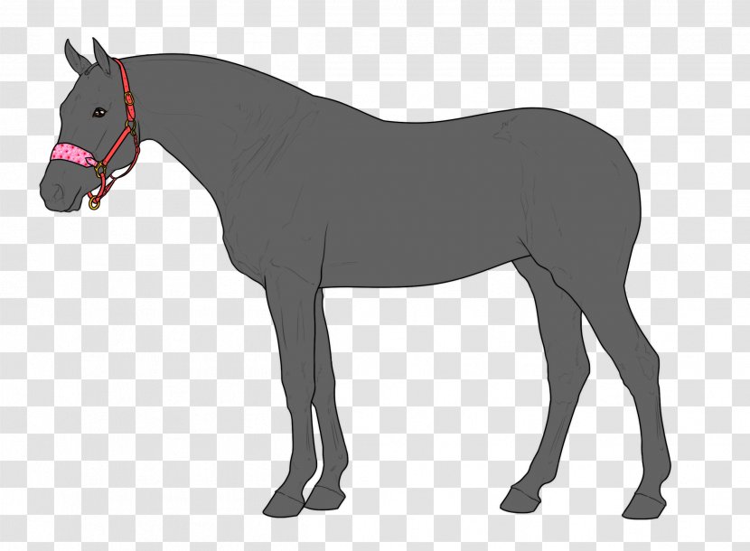 Foal Rein Stallion Mustang Horse Tack - Halter Transparent PNG