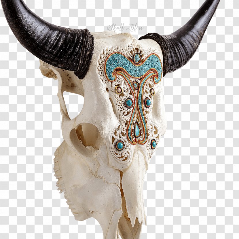 Cattle Skull XL Horns Turquoise Angel Transparent PNG