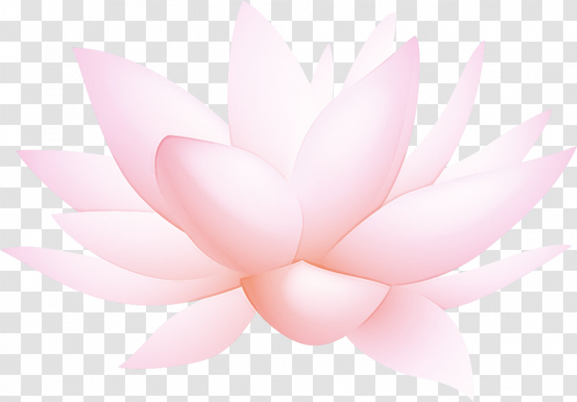 Lotus Flower Transparent PNG