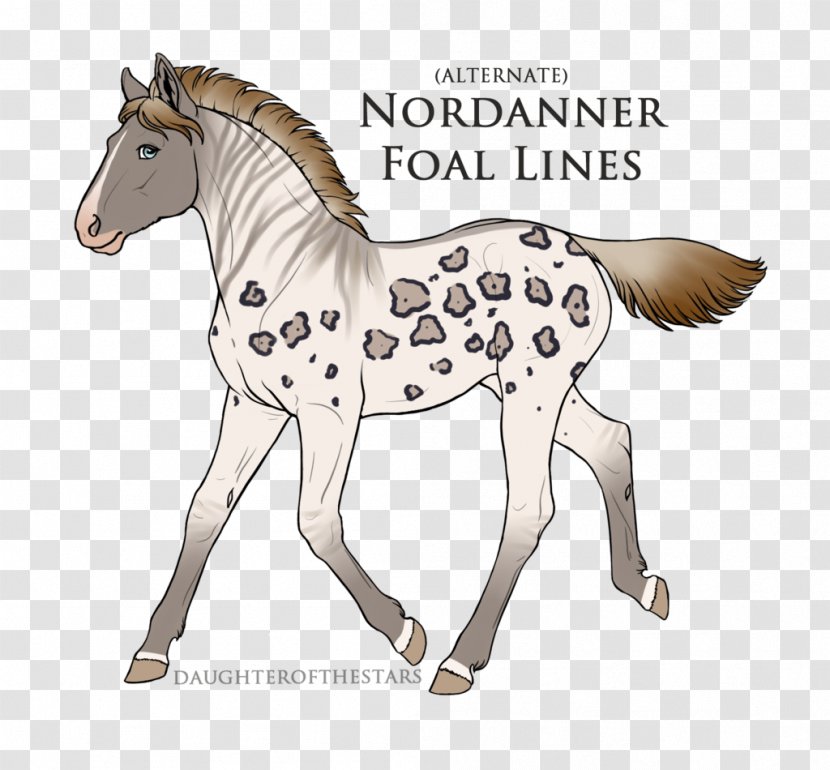 Mane Mustang Foal Stallion Colt - Tail Transparent PNG