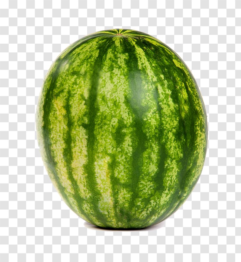 Square Watermelon Granita Veganism Transparent PNG
