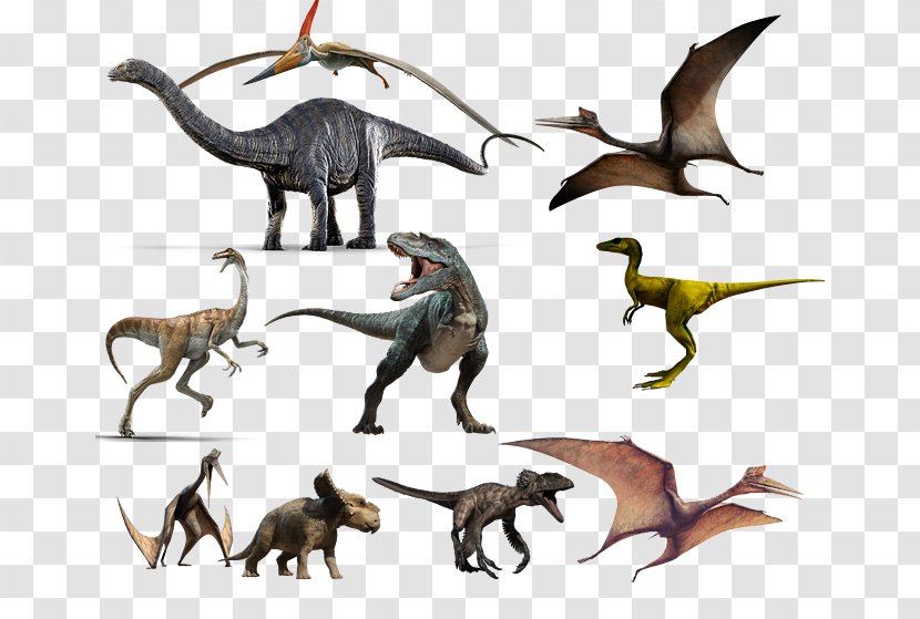 Tyrannosaurus Diplodocus Dinosaur Apatosaurus Anchiceratops - Velociraptor - All Kinds Of Dinosaurs Transparent PNG