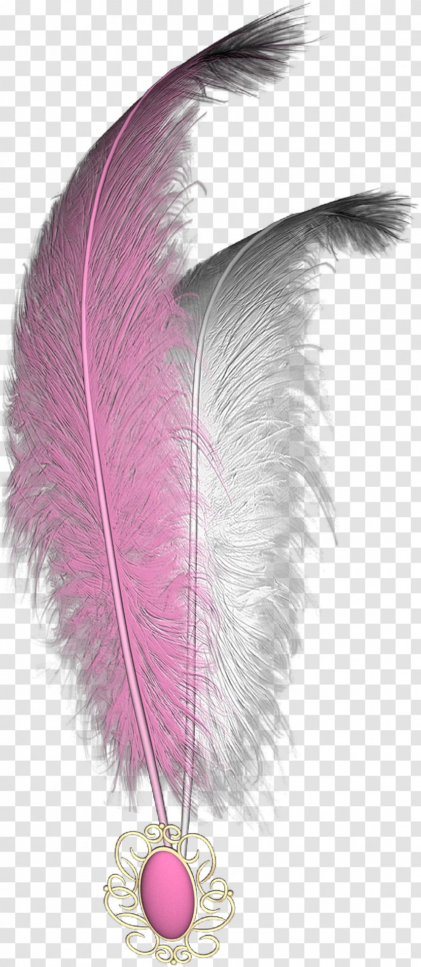 Clip Art - Pink - Feather Transparent PNG