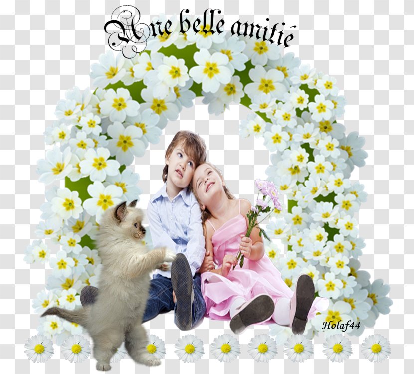 Floral Design Dog Cut Flowers Friendship - Tree Transparent PNG