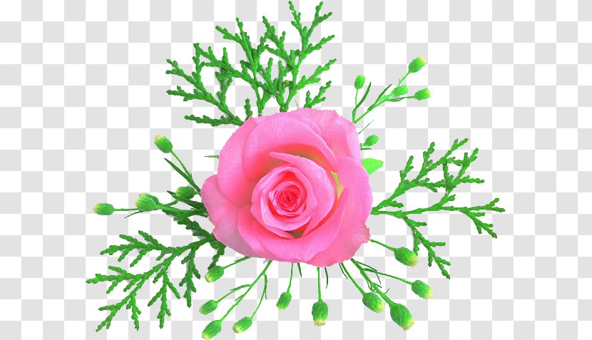 Cut Flowers Garden Roses Floral Design Flower Bouquet - Rose Order - See This Transparent PNG