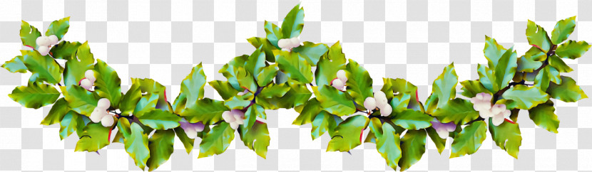 Christmas Holly Ilex Holly Transparent PNG