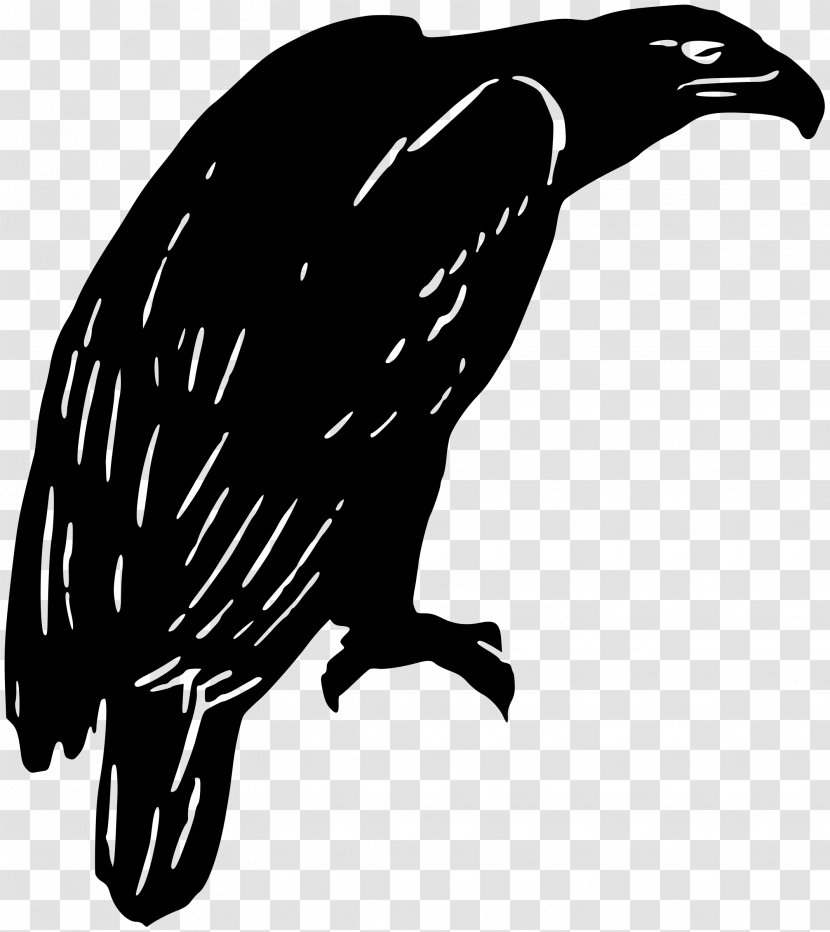 Beak Silhouette Bird Clip Art - Vertebrate Transparent PNG