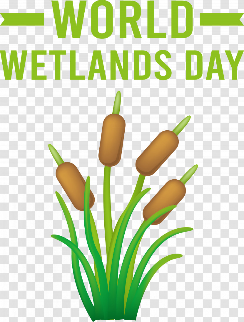 World Wetlands Day Transparent PNG