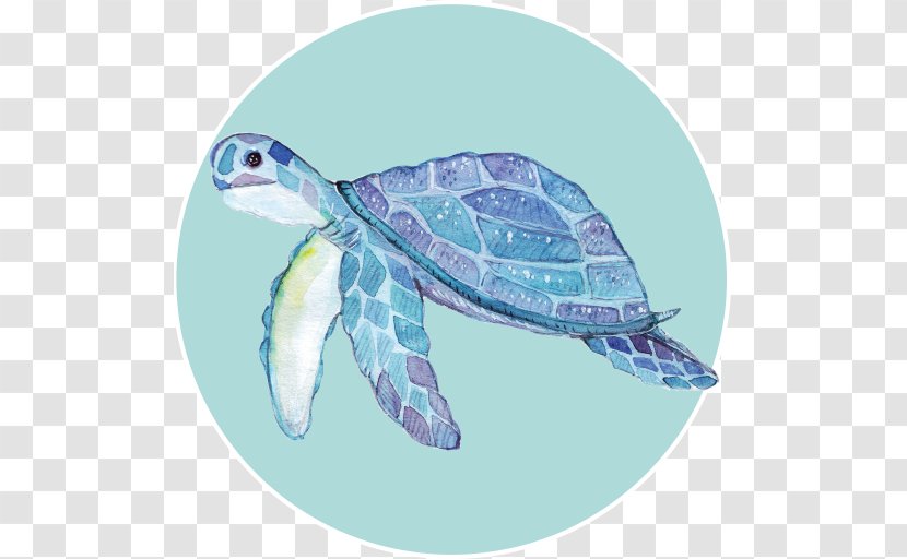 Loggerhead Sea Turtle Shell - Art Transparent PNG