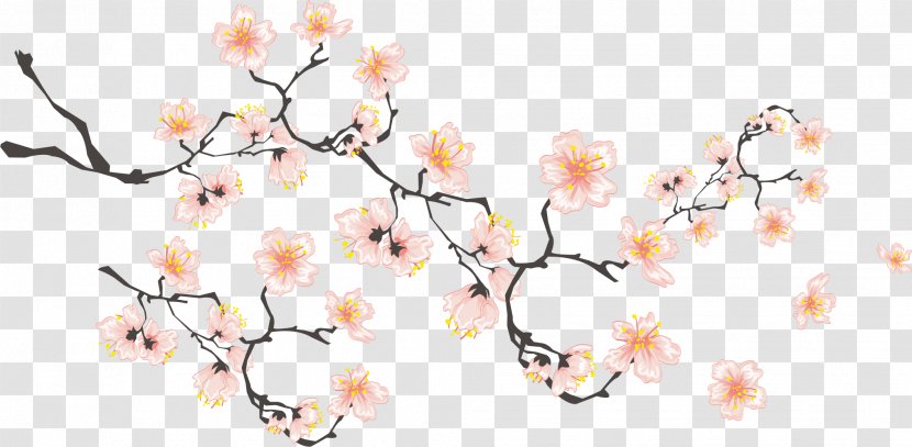 Cherry Blossom If(we) Download Icon - Plant - Hand-painted Blossoms Transparent PNG