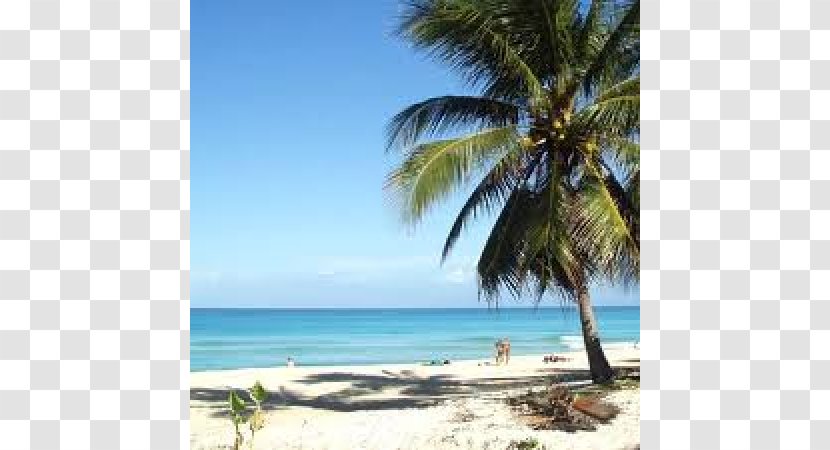 Playa Caleta Beach Vacation Hotel Package Tour - Cuba Transparent PNG