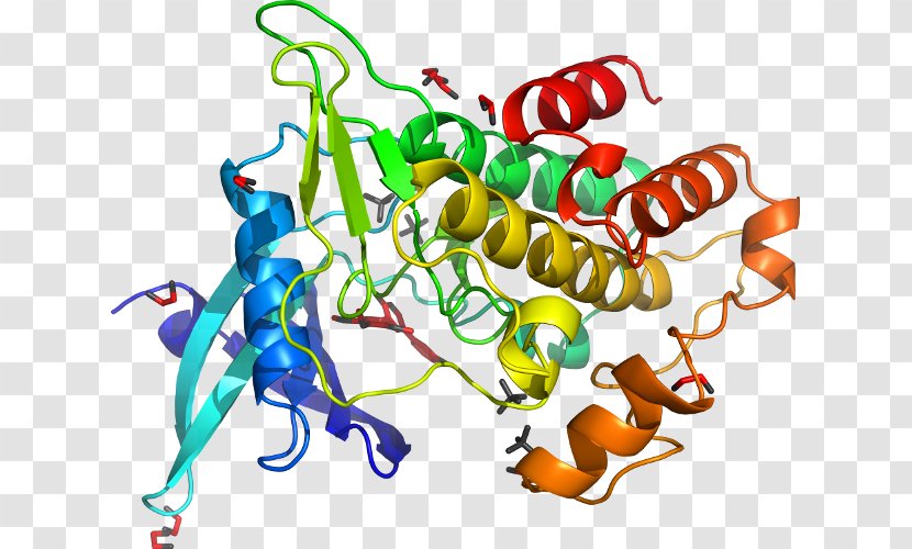 MAP3K7 Mitogen-activated Protein Kinase Enzyme - Frame - Cartoon Transparent PNG