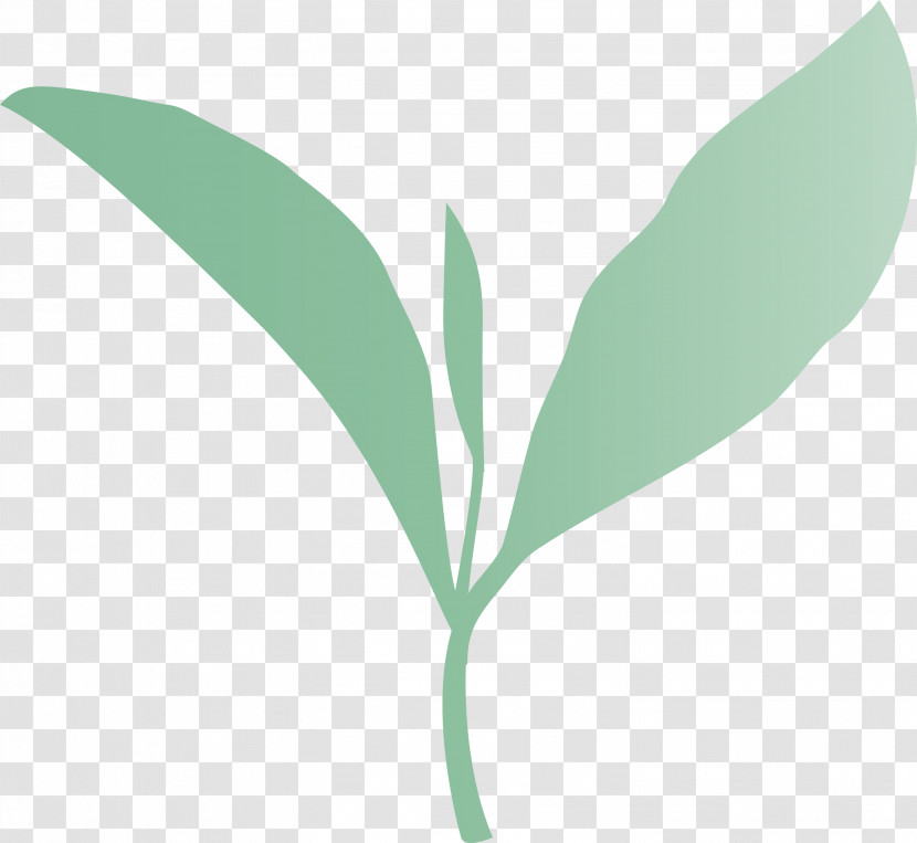 Tea Leaves Leaf Spring Transparent PNG