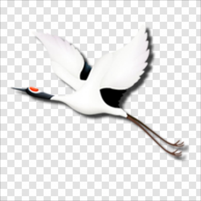 Red-crowned Crane Siberian Mid-Autumn Festival - Redcrowned - White Transparent PNG