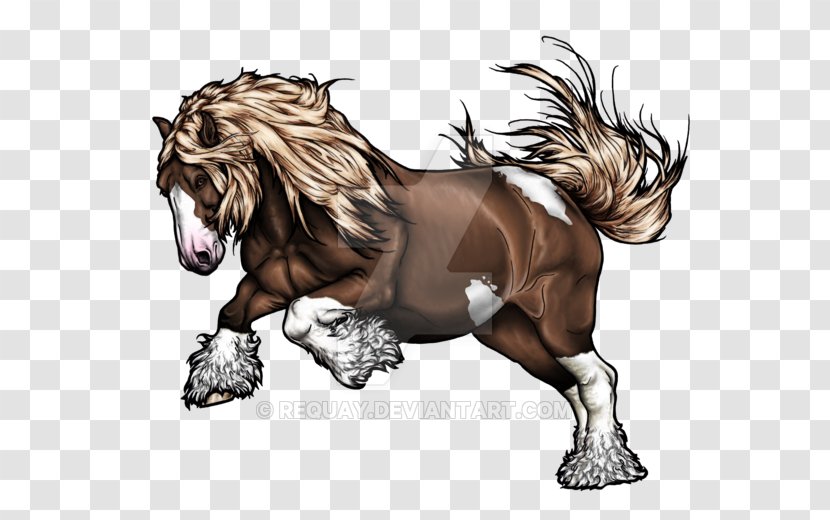 Mustang Gypsy Horse Stallion Pony Arabian - Fauna Transparent PNG