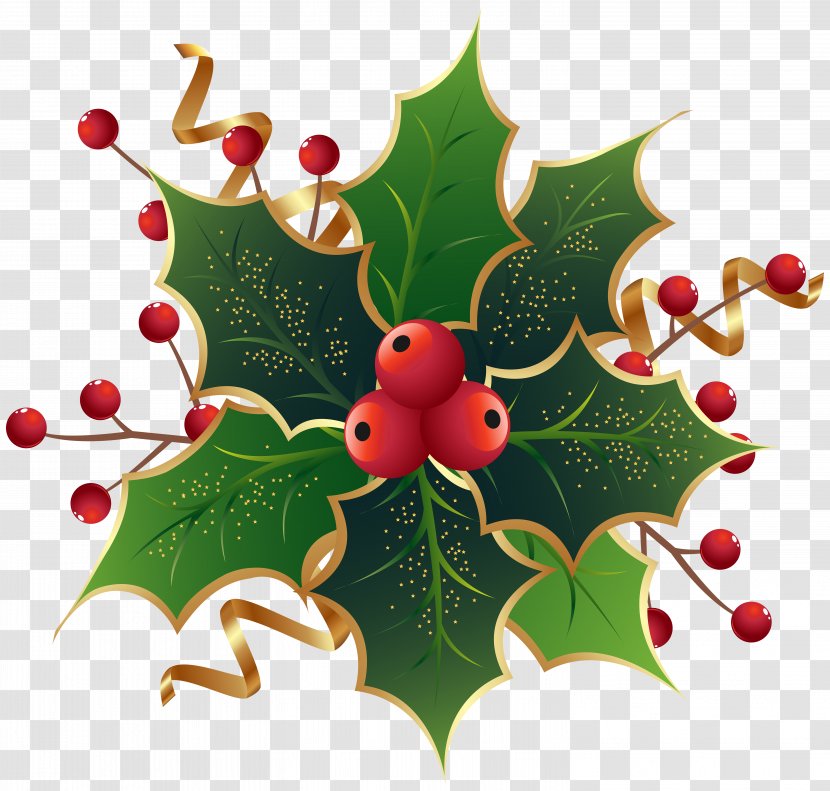 Christmas Eve At Friday Harbor Common Holly Mark Nagle The Ivy Green - Mistletoe Clip Art Image Transparent PNG