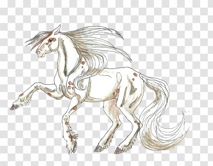 Mustang Mane Pony Line Art Sketch - Animal Transparent PNG