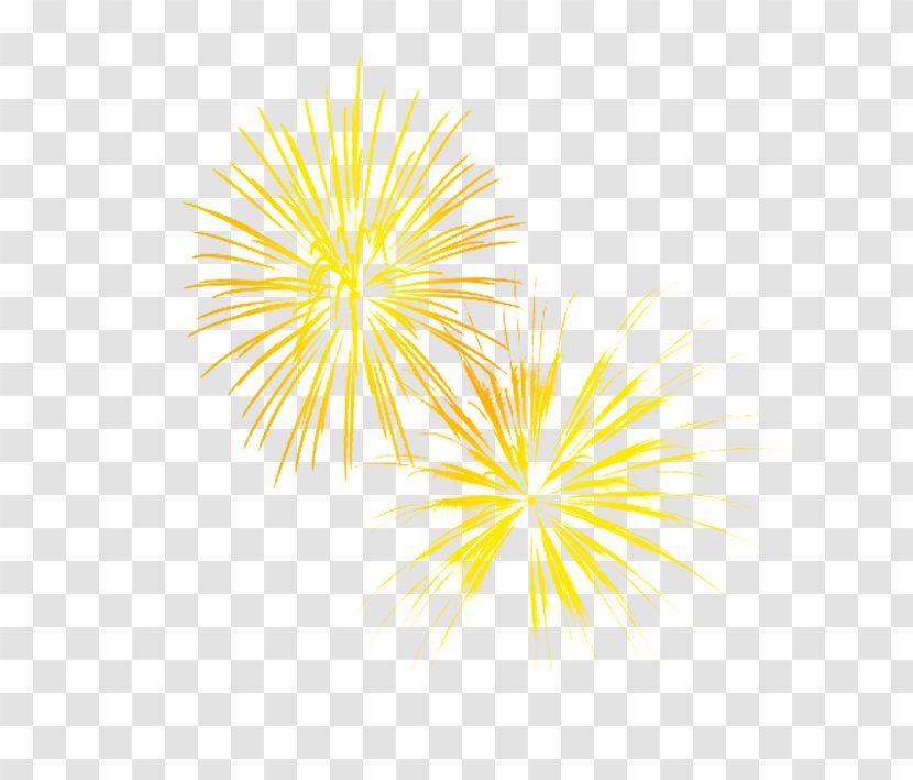 Pyrotechnics Fireworks Firecracker - New Year - Vector Material Transparent PNG