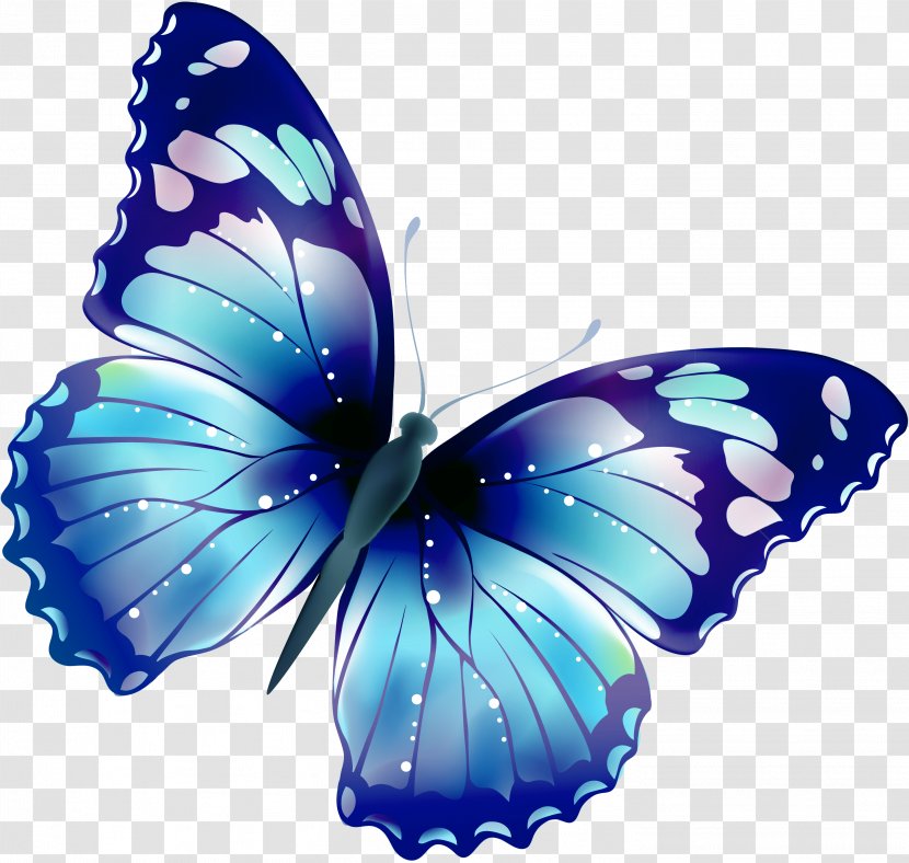 Butterfly Clip Art - Blog - Watercolor Transparent PNG