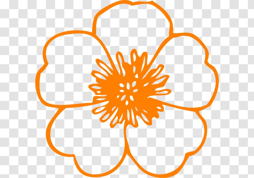 Coloring Book Flower Adult Child Drawing - Orange Flowers Cliparts Transparent PNG