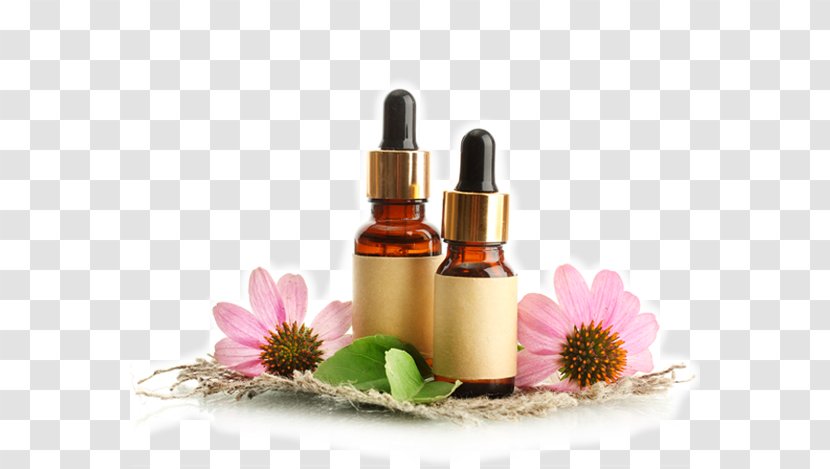 Bach Flower Remedies Medicine Healing Modelo Médico En Psicopatología Herb - Traditional - Spa Transparent PNG