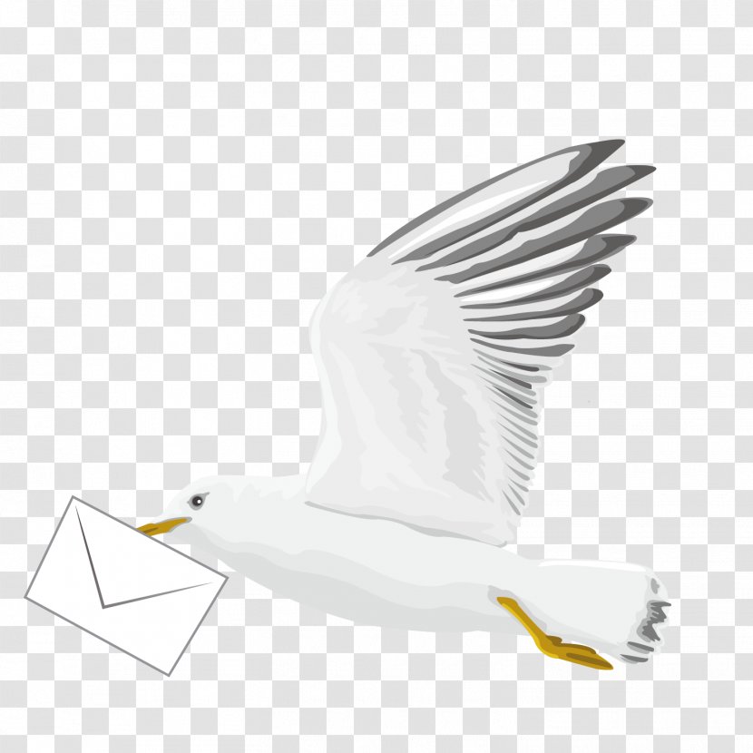 Bird Euclidean Vector - Pattern - Flying Pigeon Transparent PNG