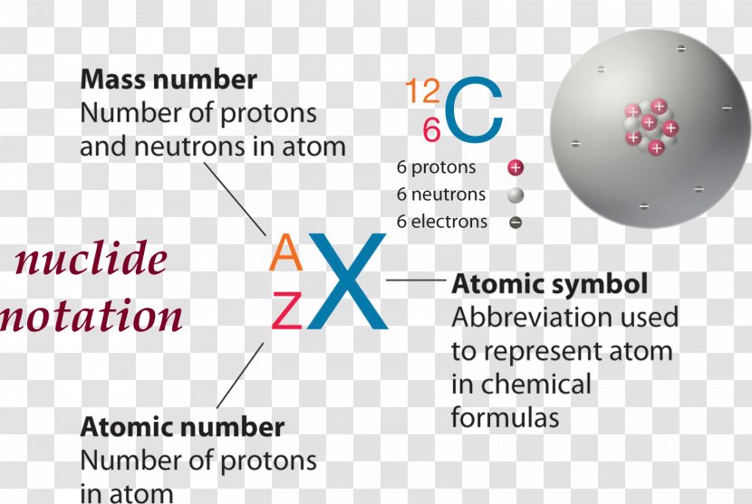 Neutron Number Atomic Nucleus - Nuclide Transparent PNG
