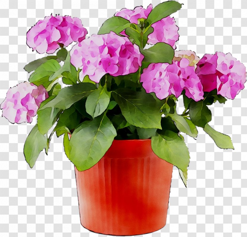 Belmont Nursery Flowerpot Garden - Magenta - Plants Transparent PNG