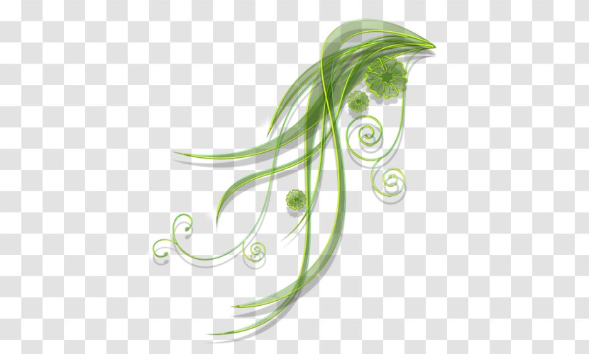 Adobe Flash GIMP Clip Art - Graphics Software - Flora Transparent PNG