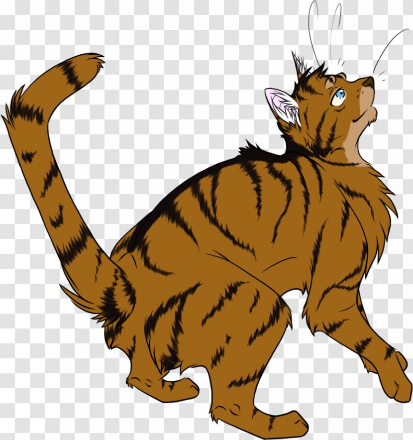 Wildcat Whiskers Littlecloud Into The Wild - Cat Like Mammal Transparent PNG