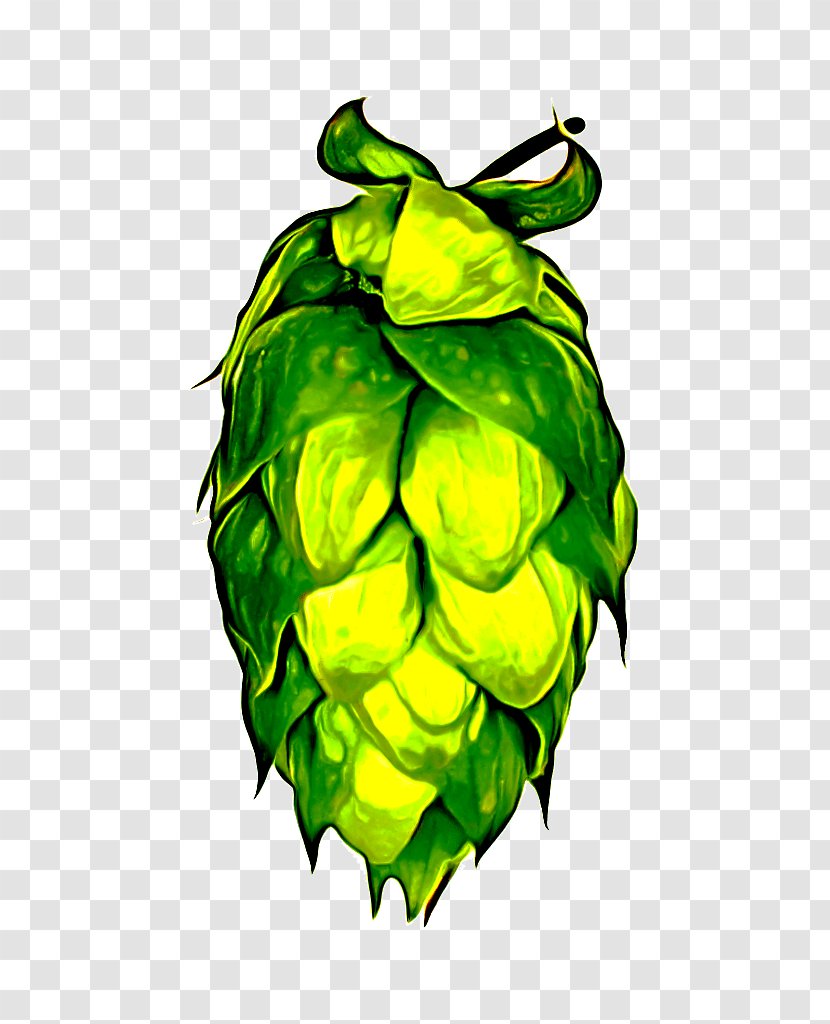 Green Humulus Lupulus Plant Leaf Hops - Fruit Transparent PNG