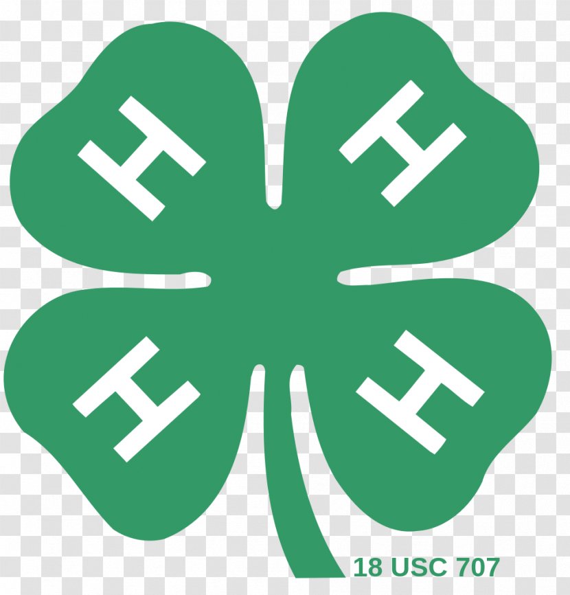 4-H Organization Cooperative State Research, Education, And Extension Service United States Youth - Logo - Clover Transparent PNG