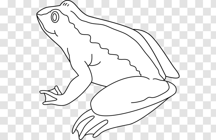 Frog Black And White Clip Art - Wildlife - Bumpy Cliparts Transparent PNG
