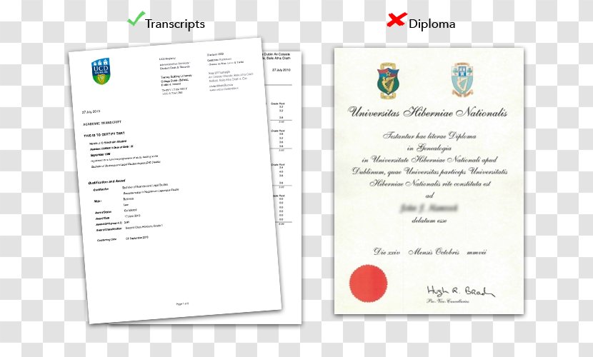 Paper National Institute Of Business Management Brand Academic Certificate Font - English Transparent PNG