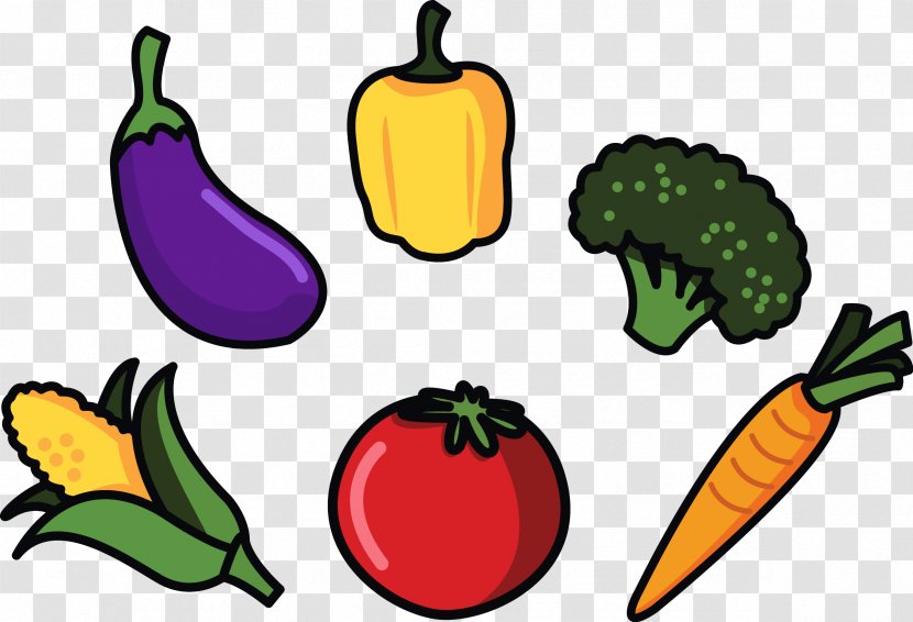 Vegetable Cartoon Illustration - Radish - Vector Vegetables Transparent PNG