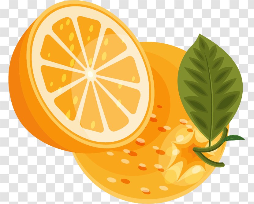 Lemon Orange - Fruit - Fruits Vector Material Transparent PNG