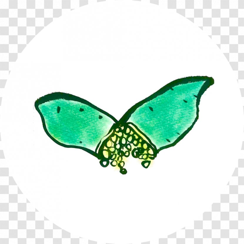 Butterfly 2M Butterflies And Moths Transparent PNG
