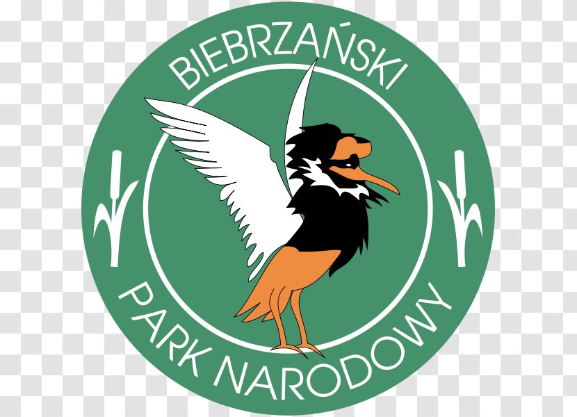 Biebrza National Park Białowieża Roztocze Goniądz - Bird Transparent PNG