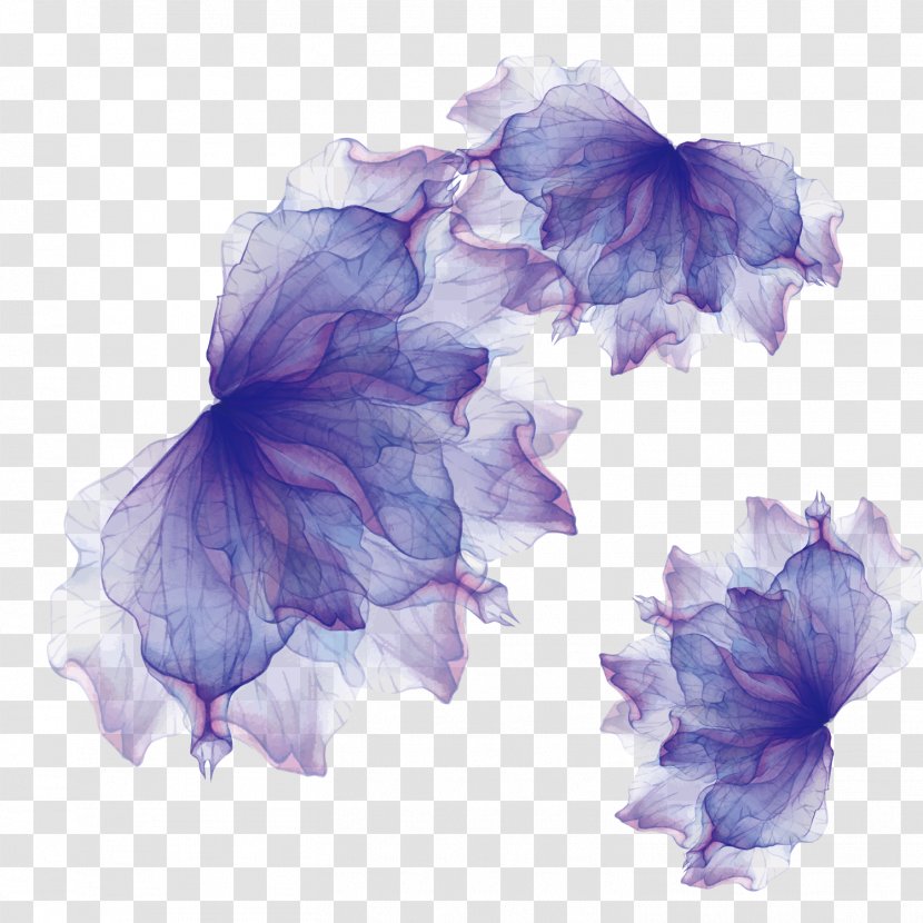 Adobe Illustrator Euclidean Vector - Lilac - Lavender Floral Cosmetics Transparent PNG